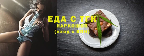индика Тихвин
