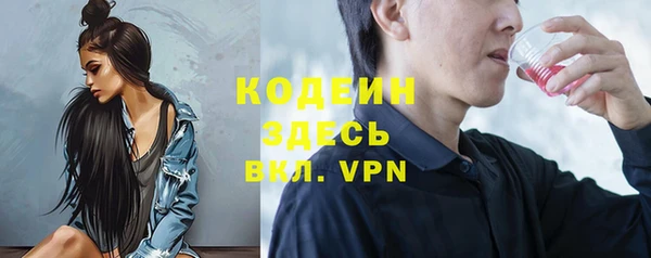 индика Тихвин