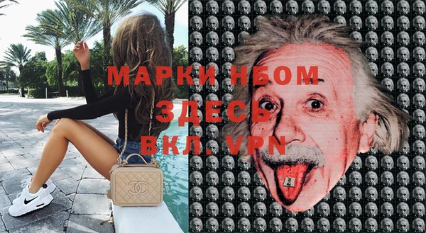 индика Тихвин