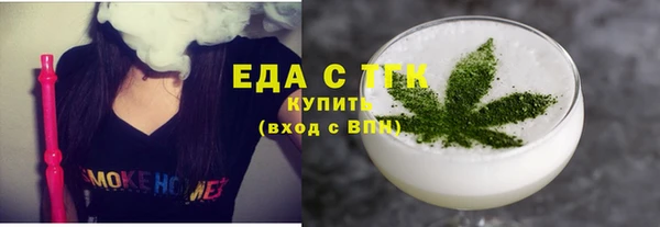 индика Тихвин
