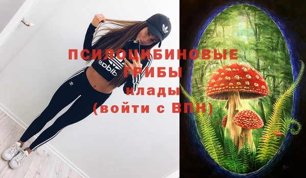индика Тихвин