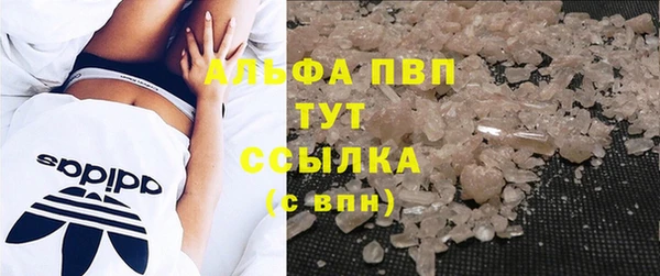 индика Тихвин