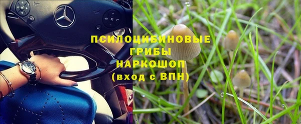 индика Тихвин