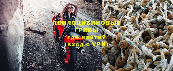 индика Тихвин