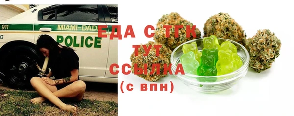 индика Тихвин
