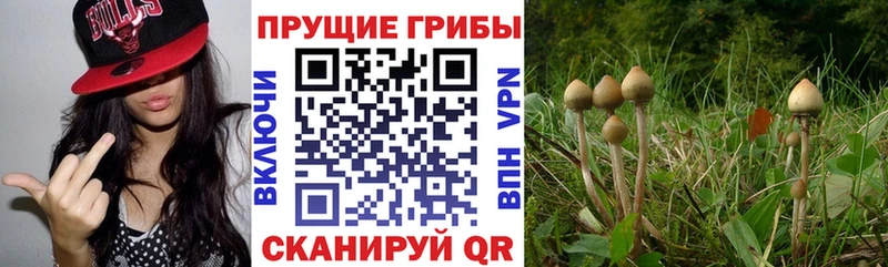 Псилоцибиновые грибы Magic Shrooms  Удачный 